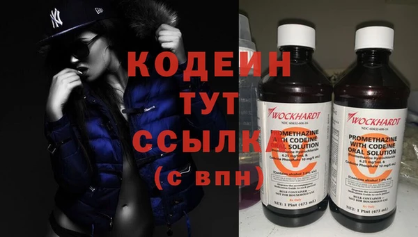 дживик Аша