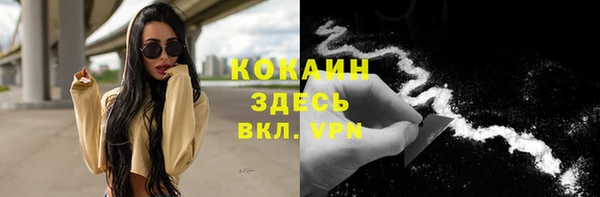 ГАЛЛЮЦИНОГЕННЫЕ ГРИБЫ Надым